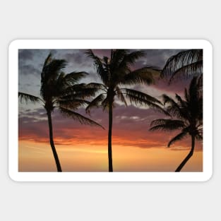 Tropical Sunset Sticker